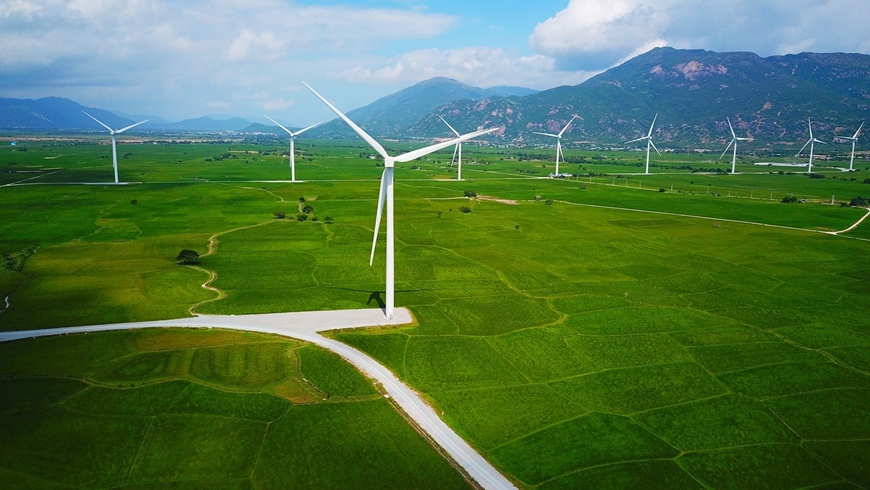 Cánh đồng điện gió xã Ninh Hải, tỉnh Khánh Hòa. Ảnh: MINH MINH
